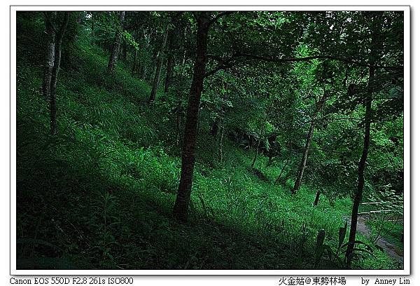 nEO_IMG_IMG_5026.jpg