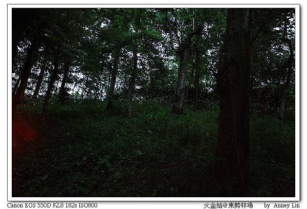 nEO_IMG_IMG_5022.jpg