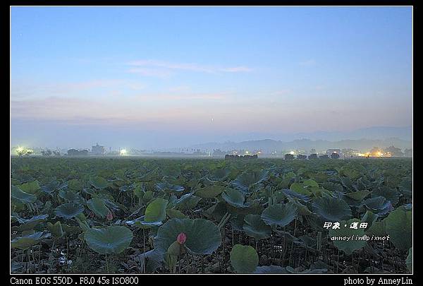 nEO_IMG_IMG_5202d.jpg