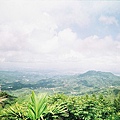 大棟山觀景台
