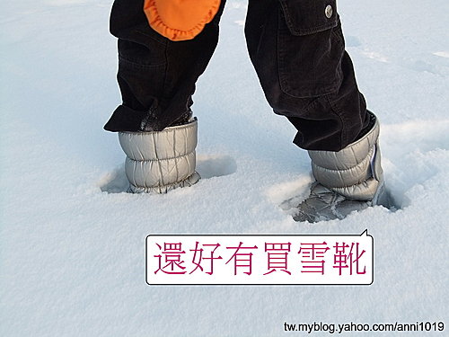 学ぶ系譜パラメータ雪靴北海道 Thedepotwadena Org