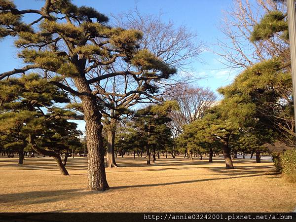 20140102皇居