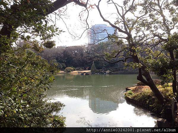 20140104六義園