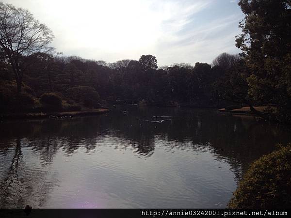 20140104六義園