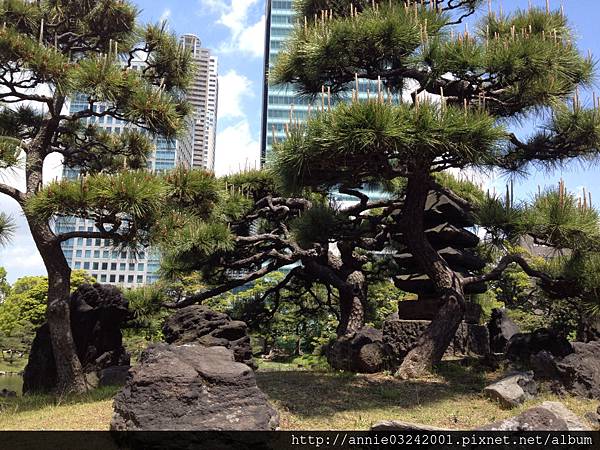 舊芝離宮恩賜庭園