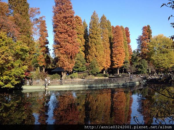 井之頭公園