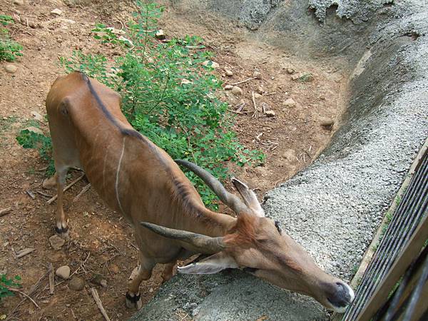 2011.08 116.jpg