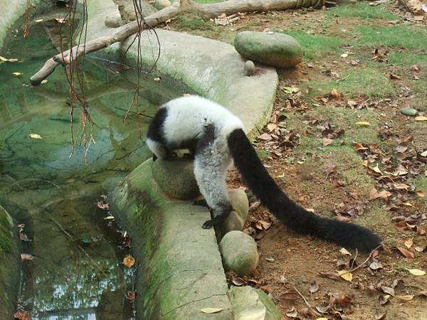 2011.08 157.jpg