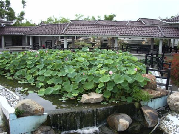 植物很多~建築古香古色