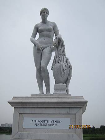 IMG_7435 IMG_7435