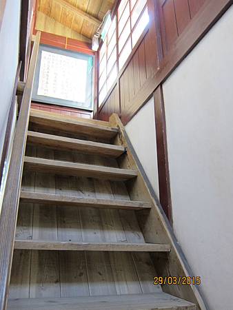 IMG_7225 IMG_7225