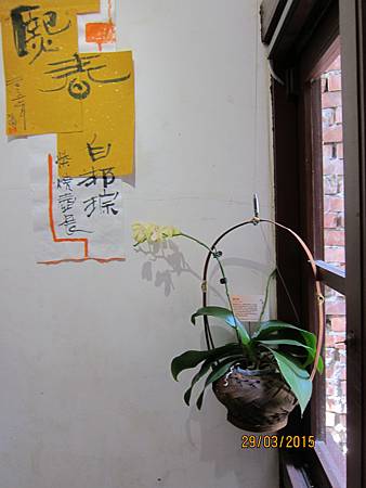 IMG_7224 IMG_7224