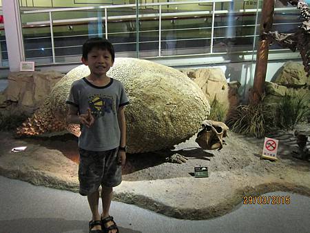 IMG_7254 IMG_7254