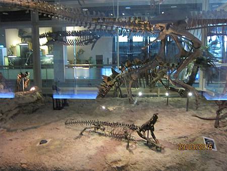 IMG_7247 IMG_7247
