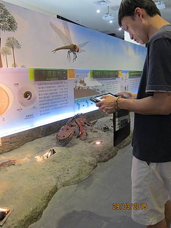 IMG_7249 IMG_7249