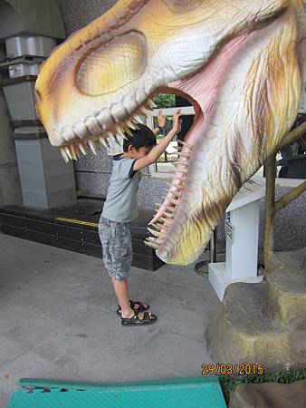 IMG_7246 IMG_7246