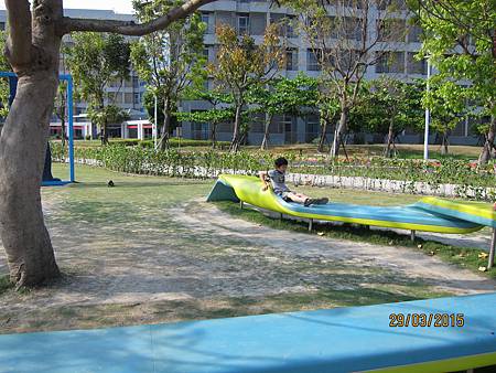 IMG_7260 IMG_7260