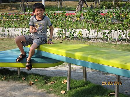 IMG_7261 IMG_7261