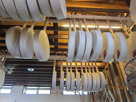 IMG_1870 IMG_1870