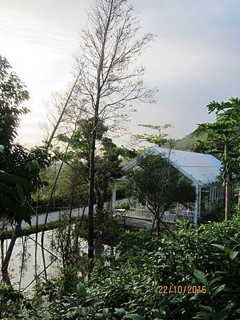 IMG_1944 IMG_1944