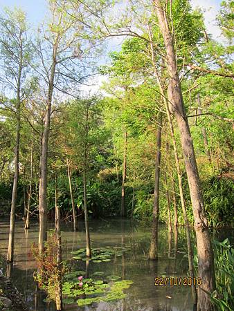 IMG_1899 IMG_1899