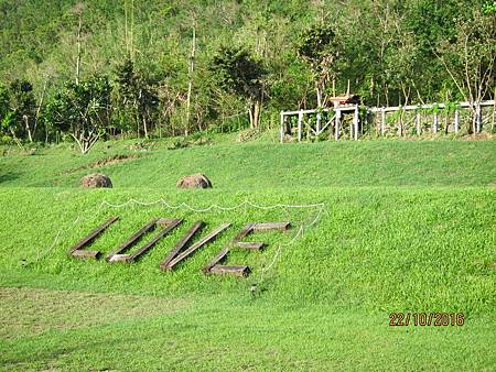 IMG_1900 IMG_1900