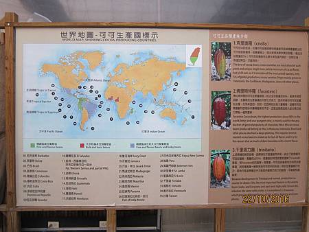 IMG_1980 IMG_1980