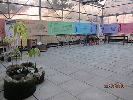 IMG_1979 IMG_1979