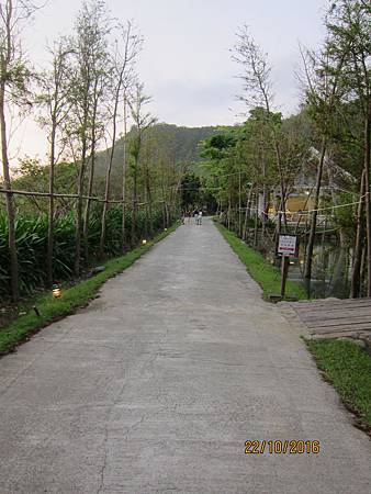 IMG_1986 IMG_1986