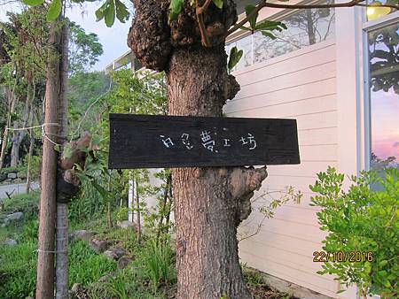 IMG_1967 IMG_1967
