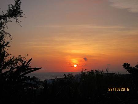 IMG_1969 IMG_1969