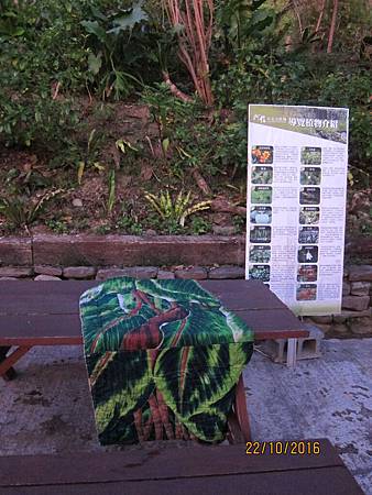 IMG_1998 IMG_1998