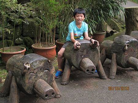 IMG_2039 IMG_2039