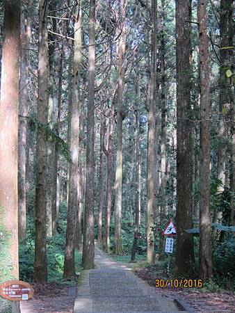 IMG_2040 IMG_2040