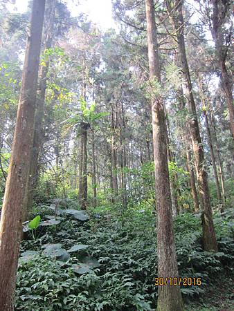 IMG_2053 IMG_2053