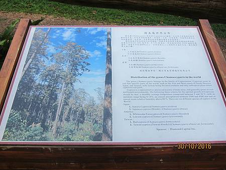 IMG_2062 IMG_2062