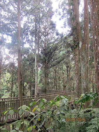 IMG_2079 IMG_2079