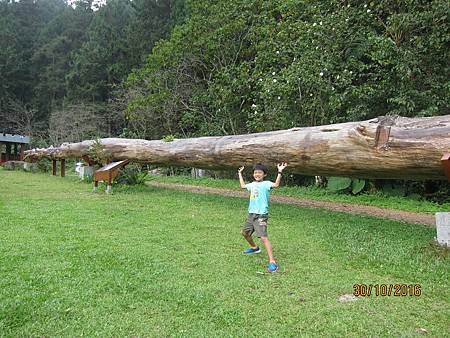 IMG_2061 IMG_2061