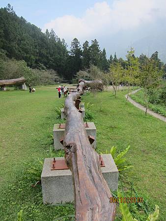 IMG_2065 IMG_2065