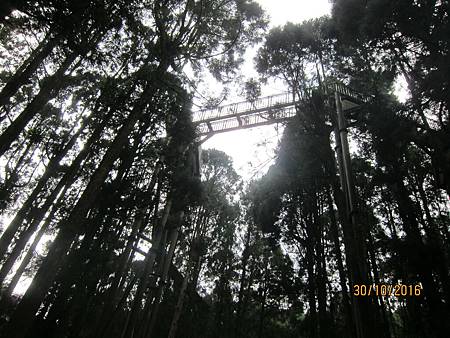 IMG_2070 IMG_2070