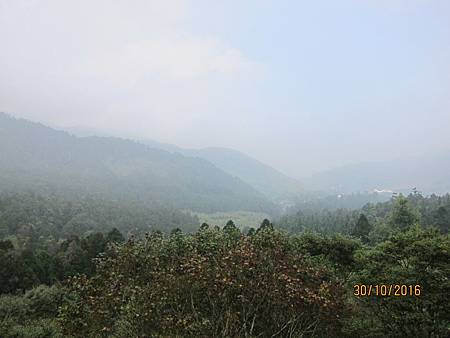 IMG_2096 IMG_2096