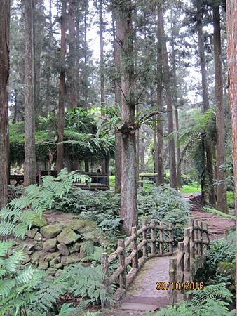 IMG_2118 IMG_2118