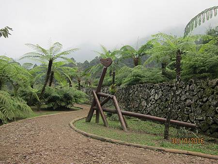 IMG_2113 IMG_2113