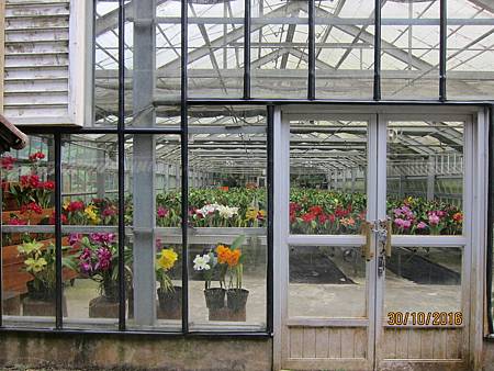 IMG_2117 IMG_2117
