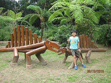 IMG_2111 IMG_2111