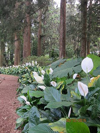 IMG_2127 IMG_2127