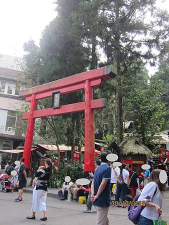 IMG_2131 IMG_2131