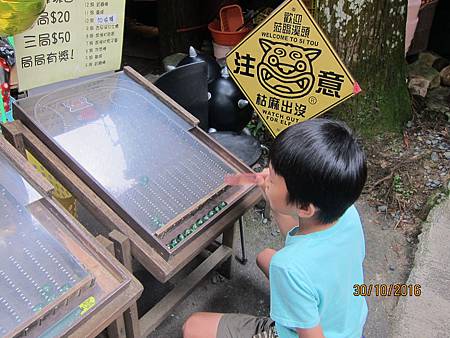 IMG_2147 IMG_2147