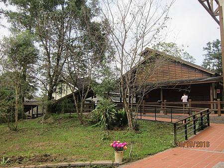 IMG_2174 IMG_2174