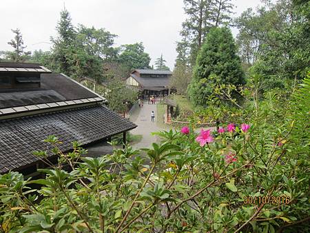 IMG_2183 IMG_2183